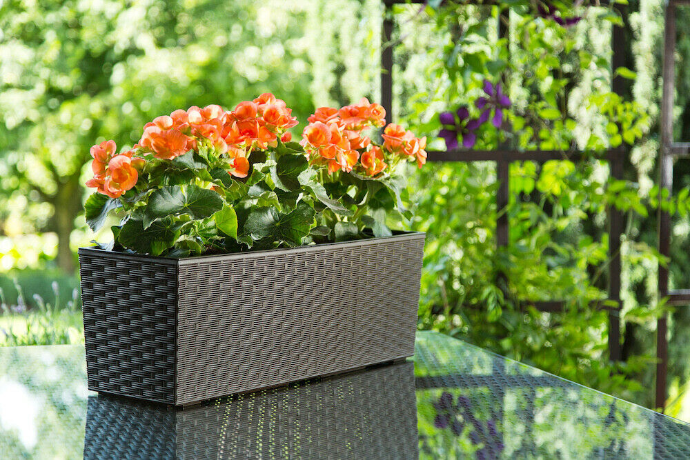 Rattan Trough Plant Pot