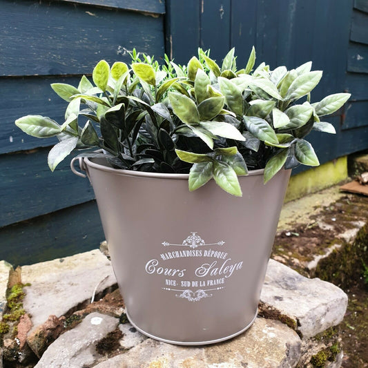 Vintage style Metal Bucket Planter